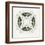 Brown Frame