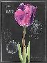 Laminate
