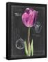 Essential Black