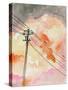 Stretched Canvas