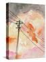 Stretched Canvas