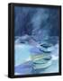 Essential Black