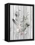 Canvas Black