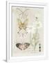 Gramercy White