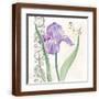 Brown Frame