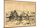Wood Mount