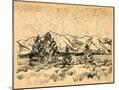 Wood Mount