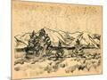 Wood Mount