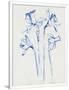 Gramercy White