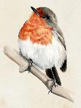 Little Bird on Branch I-Jennifer Paxton Parker-Mounted Art Print