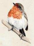 Little Bird on Branch II-Jennifer Paxton Parker-Art Print