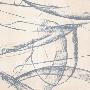 Just the Print