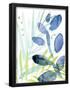 Essential Black