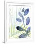 Gramercy White