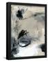 Essential Black