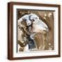 Brown Frame