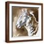 Brown Frame