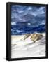 Essential Black