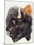 Wood Mount