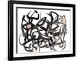 Gramercy Black