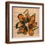 Brown Frame