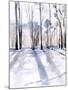 Wood Mount