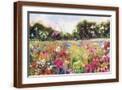 Brown Frame