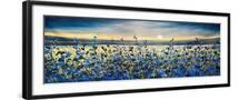 Black Frame
