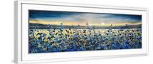 White Frame