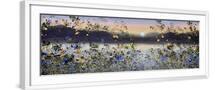 White Frame