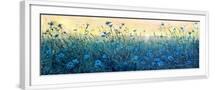 White Frame