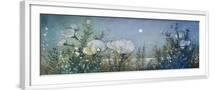 White Frame