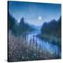 Stretched Canvas