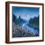 Brown Frame