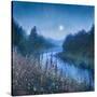 Stretched Canvas