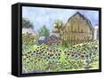 Framed Canvas
