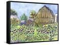 Canvas Black