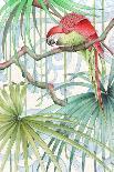 Parrot, 2008-Jenny Barnard-Framed Giclee Print