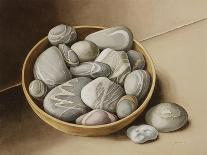 Bowl of Pebbles, 2005-Jenny Barron-Giclee Print