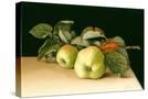 Stretched Canvas