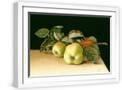 White Frame