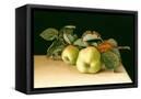 Canvas Black