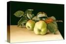 Stretched Canvas