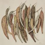 Eucalyptus Leaves, 2004-Jenny Barron-Giclee Print