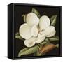 Canvas Black