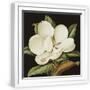 White Frame