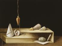 Still Life with Nautilus, 1998-Jenny Barron-Giclee Print