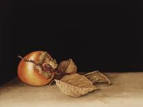 Still Life with Nautilus, 1998-Jenny Barron-Giclee Print