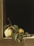 Apple-Jenny Barron-Giclee Print