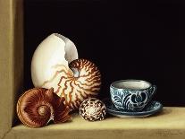 Still Life with Nautilus, 1998-Jenny Barron-Giclee Print